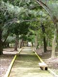 Junghas Park - BAYAMÓN